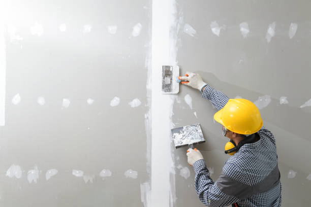 Professional Drywall & Painting Services in Blountsville, AL